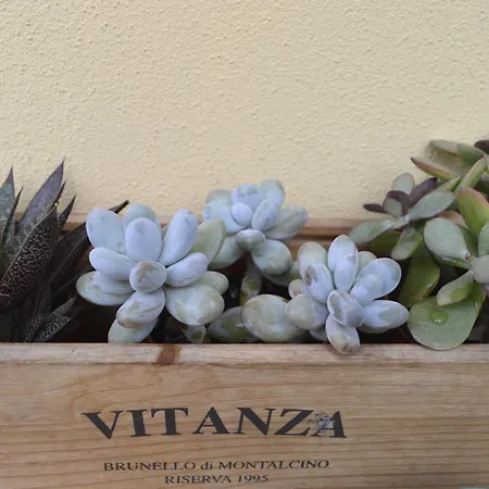 La Casetta Tra Chianti E Firenze Апартаменты *